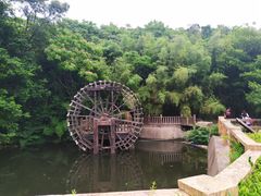 -石老人观光园