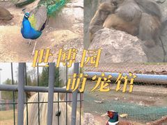 -西安世博园