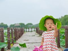 -西青郊野公园
