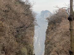 -王莽岭风景区