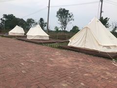 -会仙湿地