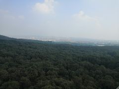 -灵谷景区