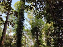 -水濂山森林公园