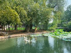 -观唐（国际）度假村温泉