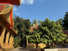 -西双版纳勐泐文化旅游区