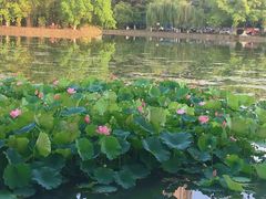 -西南交通大学(九里校区)