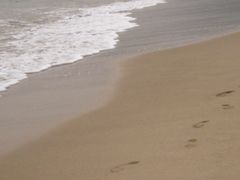 -西涌国际滨海旅游区