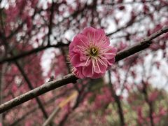 -渤公岛生态公园