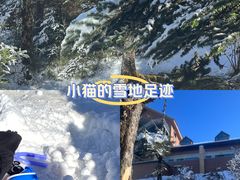-西岭雪山大飞水景区