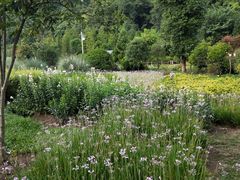 -贵阳市花溪国家城市湿地公园