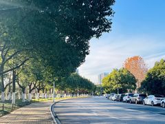 -天鹅湖体育公园