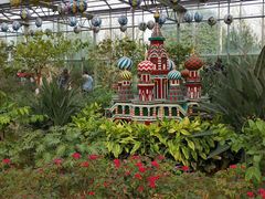 -南宫五洲植物乐园