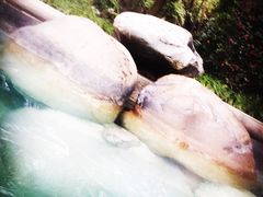 -青城道汤池