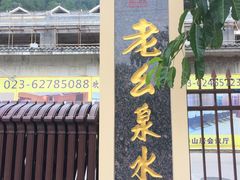 -老幺泉水鸡