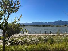 -野鸭湖国家湿地公园