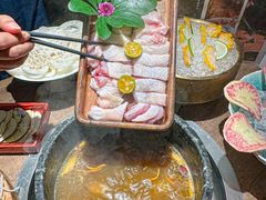 -蘑界·野生菌火锅(深业上城店)