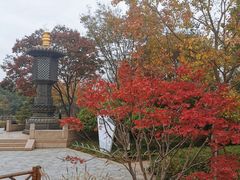 -枫桥景区