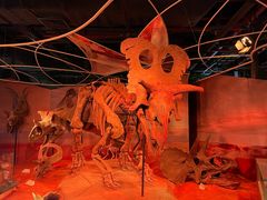 -正佳自然科学博物馆