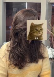 点击看大图 -XIMA·美发沙龙