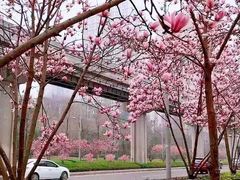 -万达广场(巴南店)