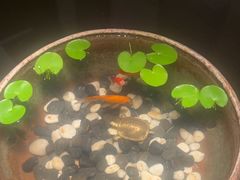 -曲水兰亭(北京四惠店)