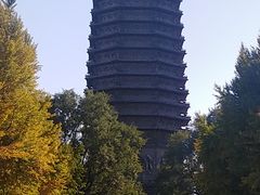 -玲珑塔公园