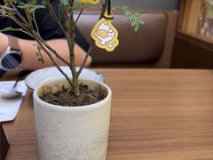 -CURRY YA 熟成咖哩專門店(深圳湾万象城店)