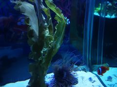 -太平洋海底世界博览馆·展览厅