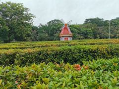 -东莞植物园
