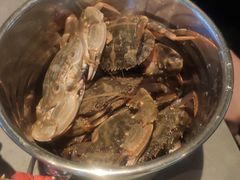 花盖蟹-一方渔歌蒸汽海鲜自助(文化路万达广场店)