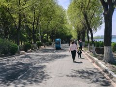 -丁香湖公园