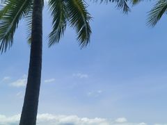 -三亚太阳湾柏悦酒店