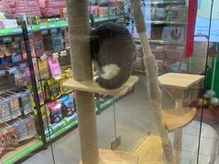 -必胜客(砂之船中东奥莱店)