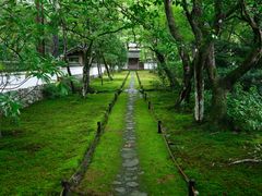 -西芳寺(苔寺)
