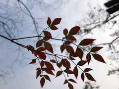 -花溪公园