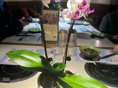 -一叶一世界•素食餐厅(环球中心店)