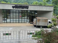 -卧龙中华大熊猫苑神树坪基地