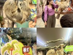 -正佳雨林生态植物园