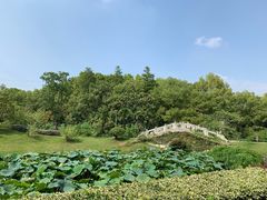 -太子山公园(园东路)