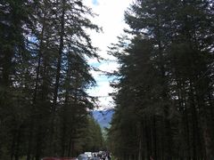 -硗碛藏寨·神木垒景区