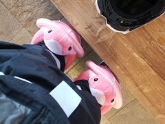 -密苑云顶乐园
