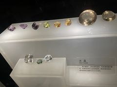 -重庆自然博物馆(新馆)