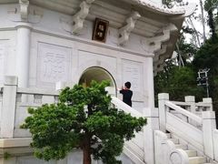 -深圳国际园林花卉博览园