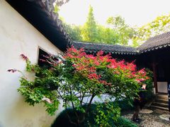 -秋霞圃