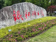 -南翔镇银翔湖公园