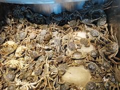 -凯悦·东方公主号 全球海鲜自助餐厅(凯丹广场店)