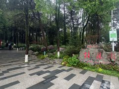 -铁山坪森林公园