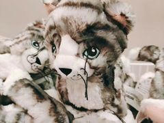 -宜家家居(哈尔滨商场店)