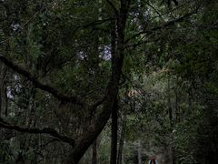 -环球公园