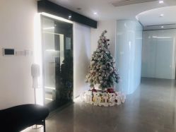 -处女座·MISS VIRGO·半永久纹眉野生眉